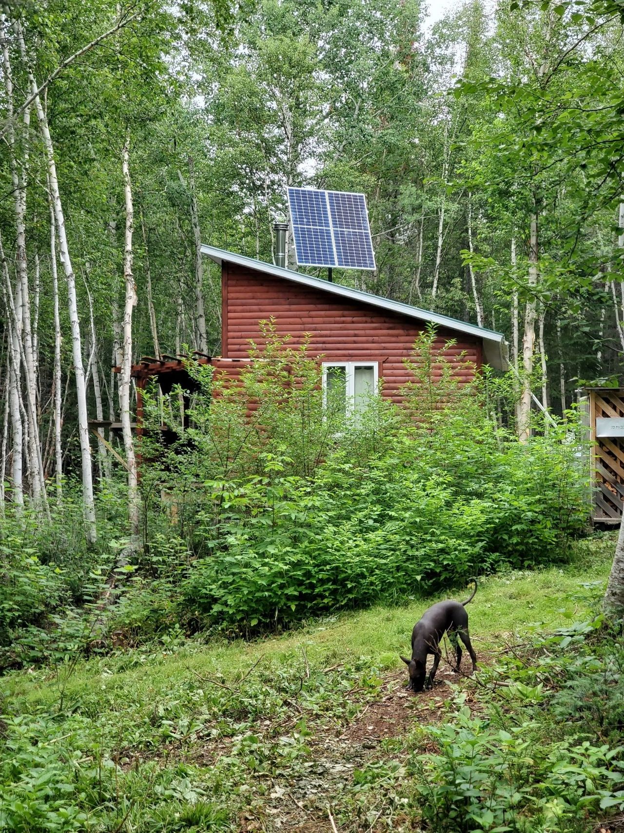 Autonomie en forêt